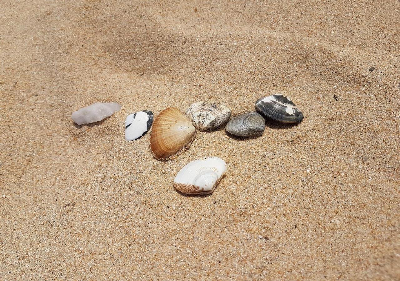 Seaside Pension Goseong  Zewnętrze zdjęcie